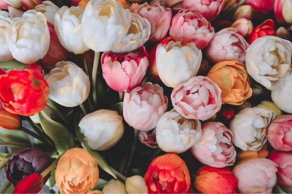 5 цветя, които символизират любовта