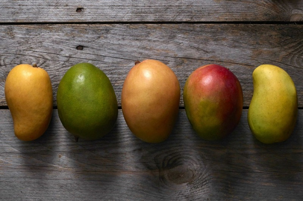 Как да отгледаме манго от семена.